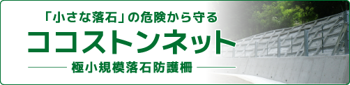 ココストンネット
